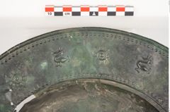 Foto von Bronzebreitrandfußschale (NHMW-PRAE-026038)